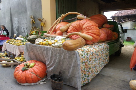 La Zucca delle Meraviglie